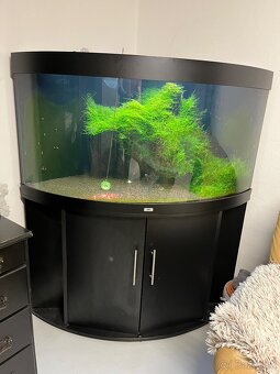 JUWEL TRIGON 350 komplet - 2