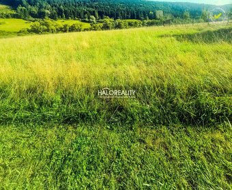 HALO reality - Predaj, rekreačný pozemok Papradno, pri Kolib - 2