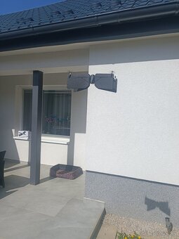 Dron Swing Parrot - 2