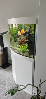 akvarium rohove juwel 350L - 2