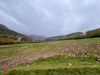 Ponúkam 11ha uceleného lesného pozemku s lúkami - 2