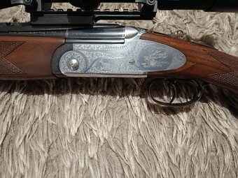 Gulobroková kozlica - 2