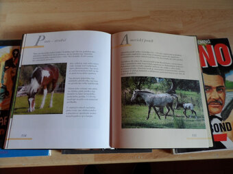 kone chov druhy a james bond za 5e kus - 2