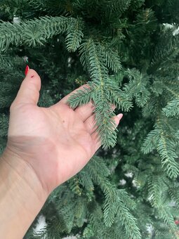 Predám stromcek 3d pol - 2