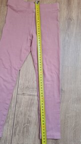 Leginy letne 104 - 2