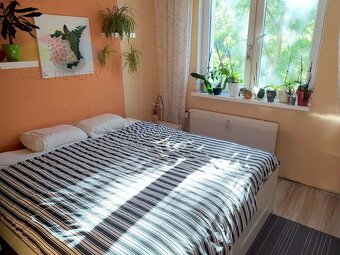 Prenajom izby s príslušenstvom a loggiou v trojizbovom byte, - 2