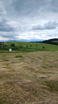 stavebný pozemok Liptovská Anna - 2