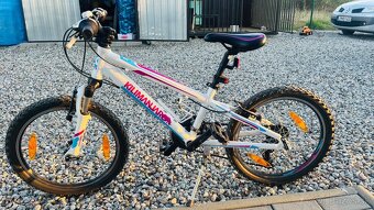 Kilimanjaro Jr tech 20 - 2