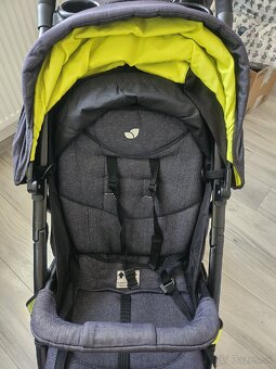 Kocik - 2