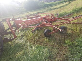 Hrabacka Kuhn - 2