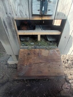 Kurín pre sliepky - 2