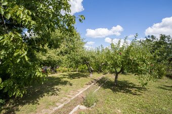EXKLUZÍVNE : NA PREDAJ SLNEČNÁ ZÁHRADA NA SUCHOM VRCHU - 2