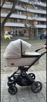 Hartan Viva GTR Buggy - 2