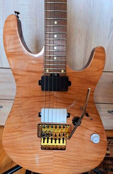 Harley Benton Fusion-III HH FR Roasted FNT - 2
