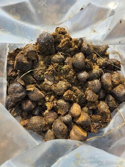 Vrecovany konský hnoj - 2