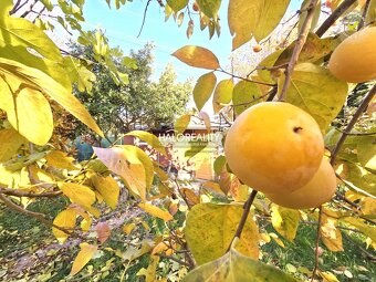 Záhrada, Bratislava, Slovnaftská 1 - 2