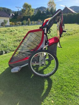 Thule Chariot - 2