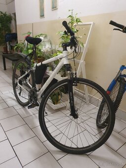 Bicykel Kellys Clif 50 28 palcov - 2