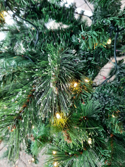 Predám vianočný stromček. - 2