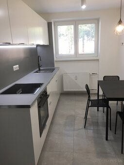 1 izbový byt na dlhodobý prenájom - 2