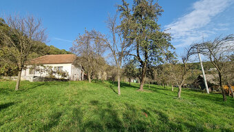 RODINNÝ DOM,STODOLA aPOZEMOK 4273m2 SENICKÉ KOPANICE - 2