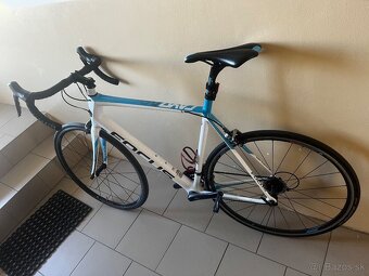 FOCUS Cayo XL - 2