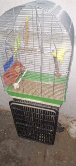 Andulky +klietka - 2