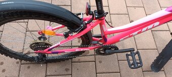 Bicykel - CTM Mony - 2