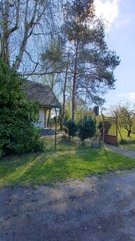 Záhrada s chatkou Úľany nad Žitavou - 2