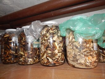 Predám sušené dubáky. - 2