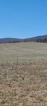 Prenájom pozemku - 2