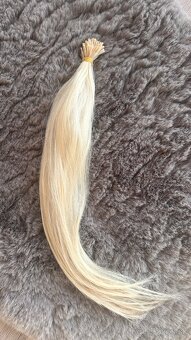 Ruské - Blond vlasy 12.01 - 2