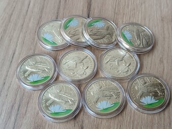 5€ Fauna a Flóra, Korytnačka - 2