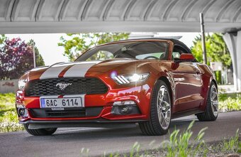 Mustang Cabrio 3.7 Shelby -Top Stav - 2