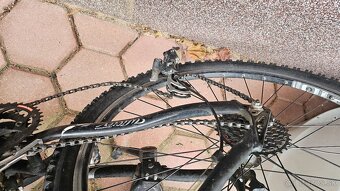 Wilier bicykel junior - 2