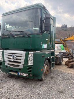 Renaut Magnum + Gorica - 2