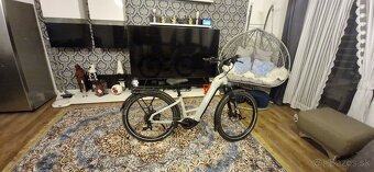 Ebike - 2
