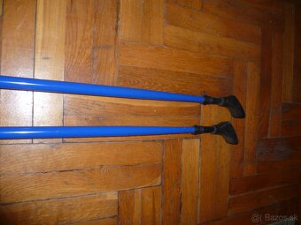 Palicky nordic walking - 2