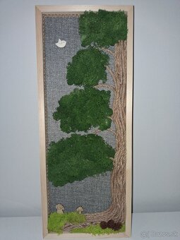 Machový obraz Sekvoja - 2