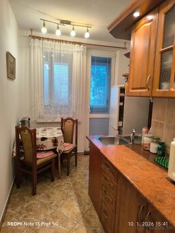 1 izbovy byt v Karlovke - 2