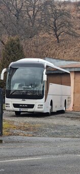Man lions coach - 2