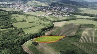 PREDAJ OBRÁBANÝCH VINÍC - GRINAVA, PEZINOK - 2
