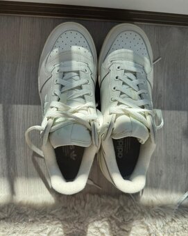 Adidas forum bold - 2