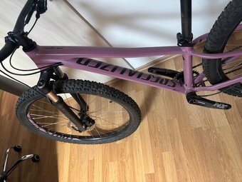 specialized pitch - 2