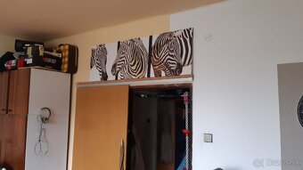 Obraz dekoracia na stenu - 2