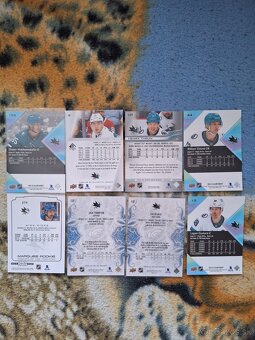 LOT Hokejových kariet NHL - 2