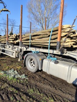 Agátové koly, stĺpy. - 2