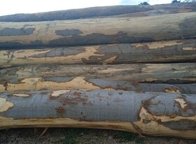 Palivové drevo Čistý BUK - 2