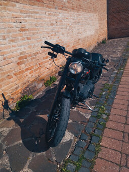 HARLEY DAVIDSON Iron 883 - 2