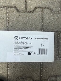 UMÝVADLOVÁ BATÉRIE MELODY ROSE GOLD - 2